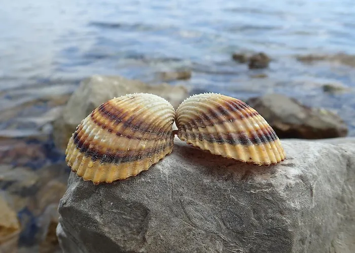 Lejlighed Marino *