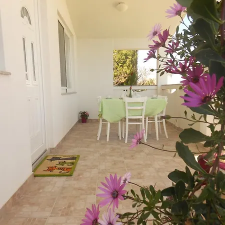 Apartment Marino *