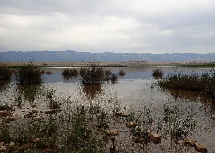 דירה Marino פובליאנה