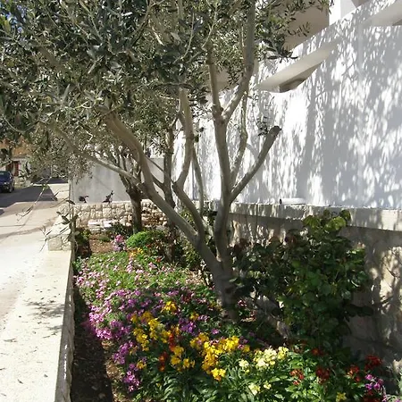 Apartament Marino *